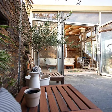 فيلة Art بوخارست